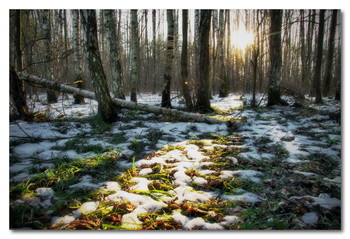 Federbalken / ***