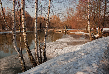 Federbalken / ***