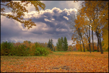 Herbst-Skizzen / ***