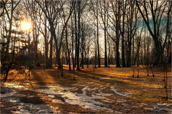 Federbalken / ***