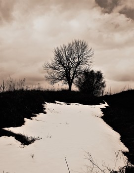 Federbalken / ***