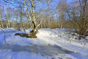 Am Ende des Winters / ...