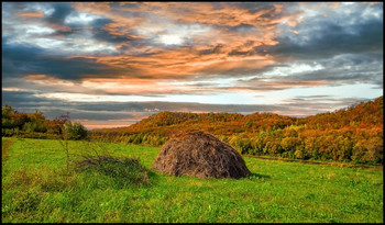 Herbst-Skizzen / ***