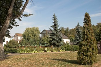 Sommer-Studie / ***