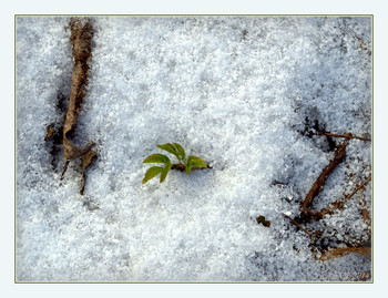 Neues Leben / ***