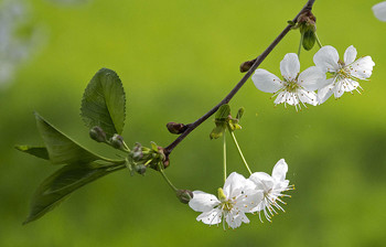 Neues Leben / ***