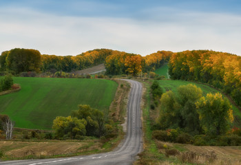 Herbst / ***