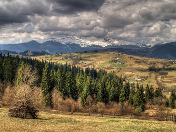 Federsätze / ***