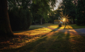 Sonne / ***