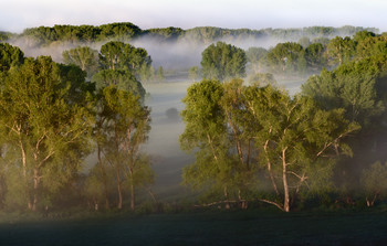 Nebel zerstreut / ***