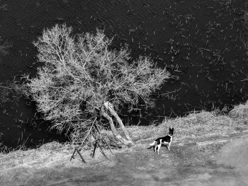 Frühling / ***