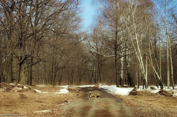 Auf dem Spaziergang / ...