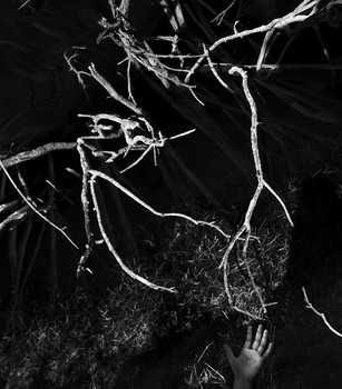 Traumfänger / ***