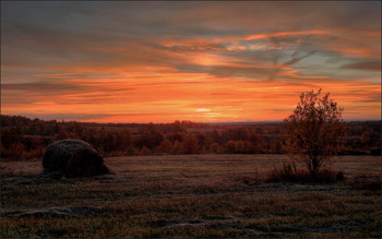  / HDR