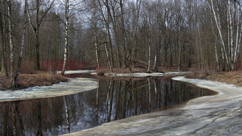 Frühling / ***