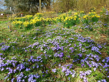 Planten un Blomen Hamburg / ***
