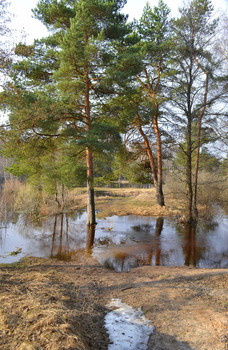 Frühling / ***