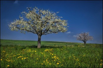  / Frühling