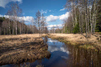 Frühlingslandschaft / ***