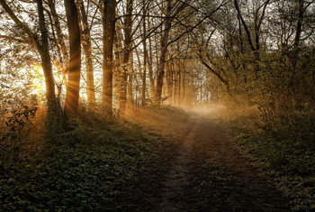 warme Sonne / ***