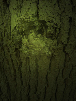 Waldgeist III / Im Unbewussten