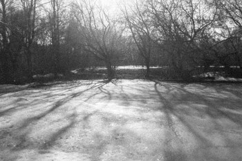 Frühling / ***