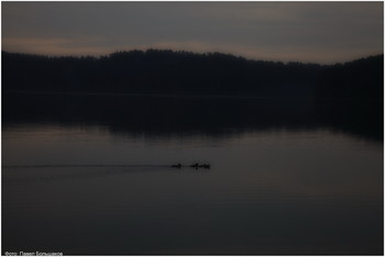 Morgendämmerung / ***