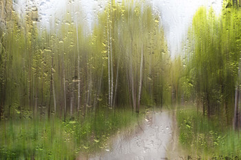 Regen im Mai / ***