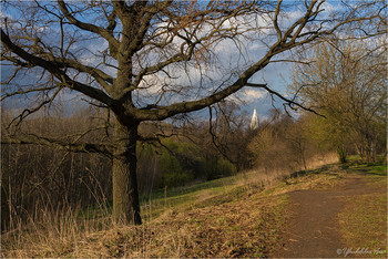 Frühling in Kolomenskoye / ***