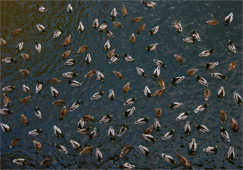 Ein Blick von oben / 2011