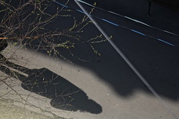 Ein Blick von oben / ***