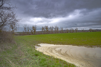 Frühling / ***