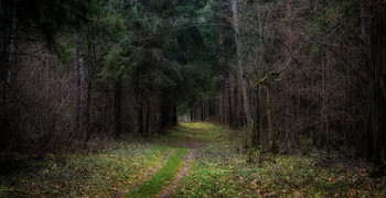 Waldlehrpfad / ...