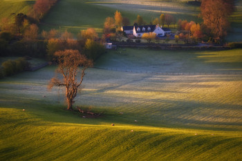 ...Irish classic... / ***