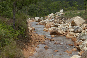 Kleiner Fluss / ***