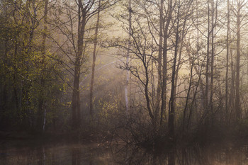 Erwachen / ***