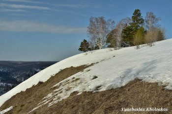 Die April-Wald / ***