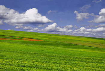 Spring an Freiflächen / ***