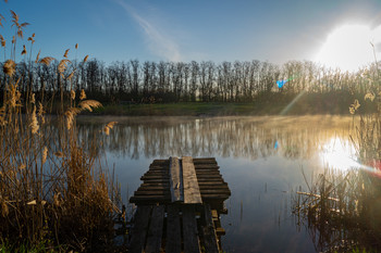 Morgen auf dem Fluss / ***