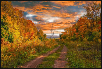 Herbst-Skizzen / ***