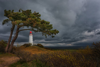 Hiddensee / auf Rügen
