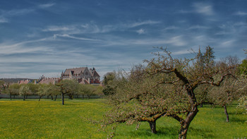 Schloss Thurn und Taxis / Sommerresidenz des Fürsten