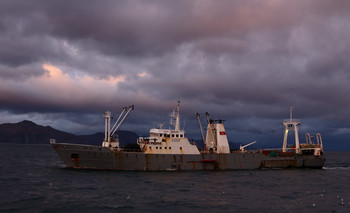 Fisherman / ***