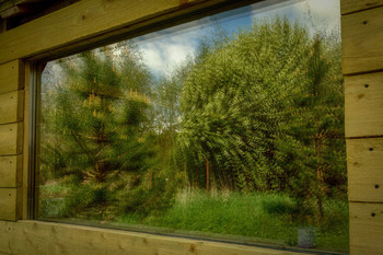 Vogel-Kirsche / ***
