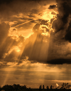 das Licht des Himmels / ***