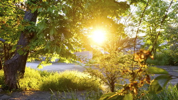 Die ersten Strahlen der Sonne / ***