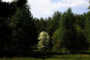 Abkommen / ***