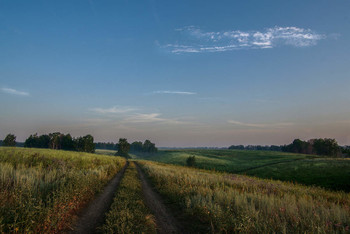 Auf dem Heimweg / ***