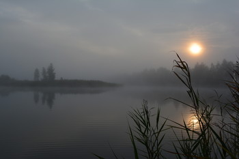 Nebel zerstreut / ***