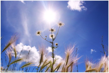 Mit der Sonne / ***